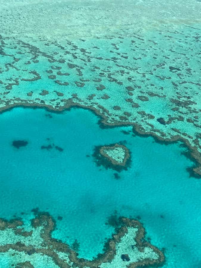 Airlie Beach: Whitsundays & Great Barrier Reef Scenic Flight - Practical details that make the flight better