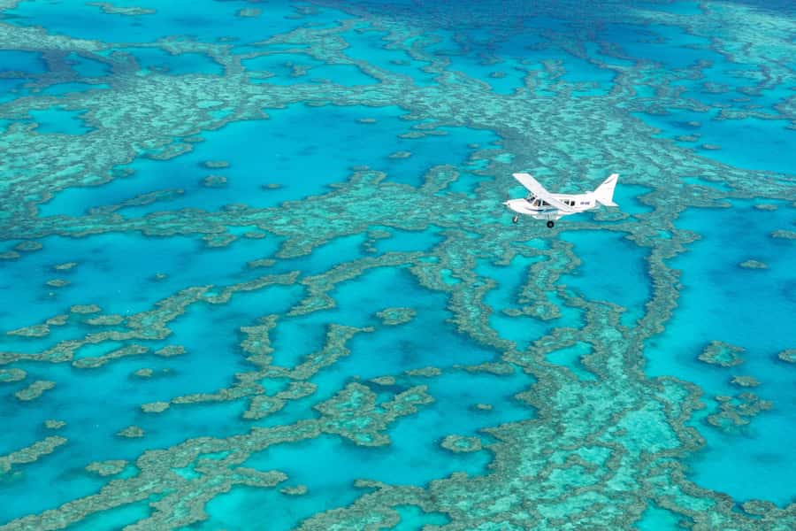 Airlie Beach: Whitsundays & Heart Reef Scenic Flight - Heart Reef and the best photo opportunities