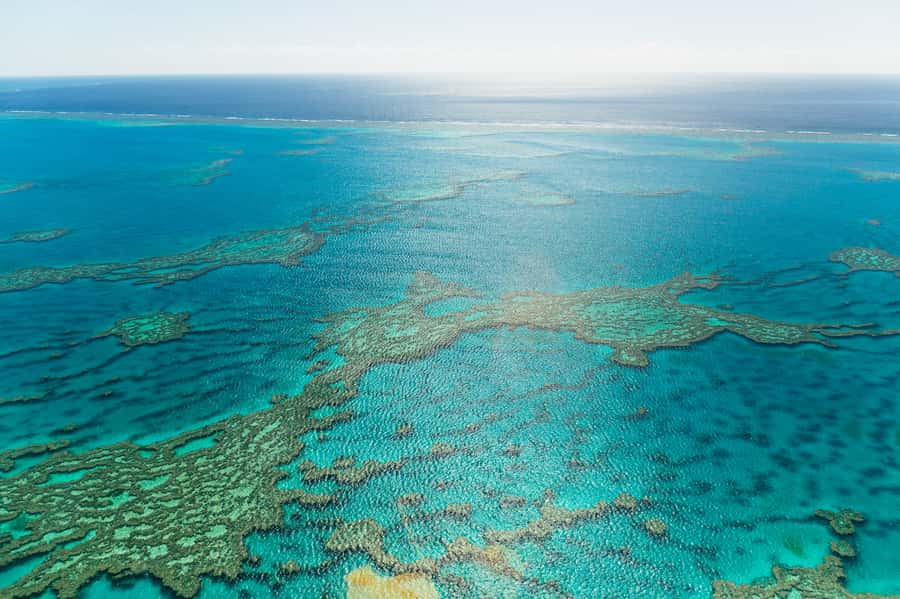 Airlie Beach: Whitsundays & Heart Reef Scenic Flight - Pilot commentary makes the route easier to read