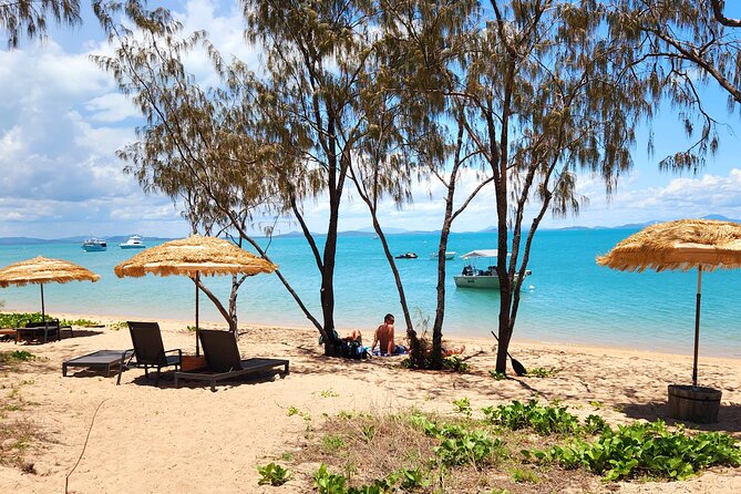 Airlie Coastal Beach Adventures - Dingo Beach & Cape Gloucester - Why this northern shore trip is worth your day
