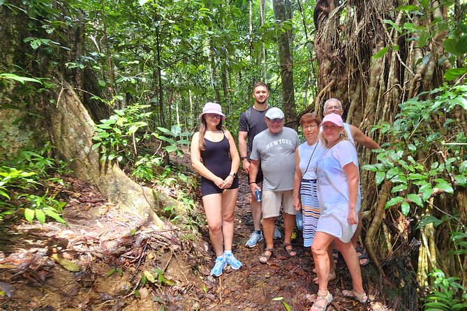 Airlie Waterfalls & Rainforest Bushwalk Eco Adventure - Why this four-hour escape works so well