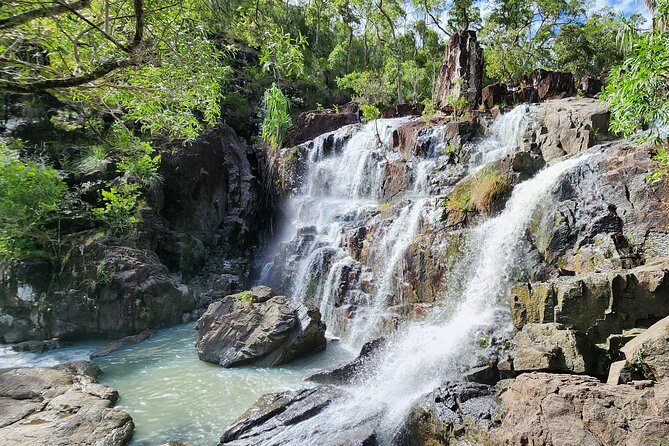 Airlie Waterfalls & Rainforest Bushwalk Eco Adventure - Conway National Park: 90 minutes under the trees