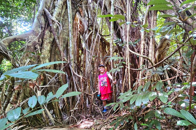 Airlie Waterfalls & Rainforest Bushwalk Eco Adventure - The guides shape the experience