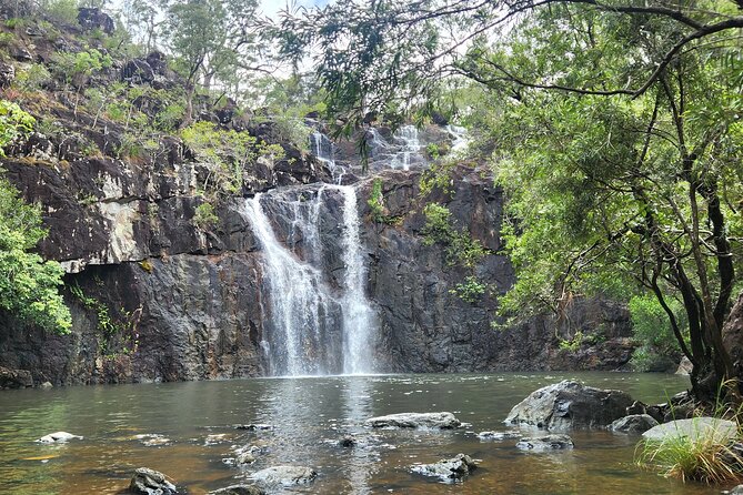 Airlie Waterfalls & Rainforest Bushwalk Eco Adventure - What the small group and transport mean for you