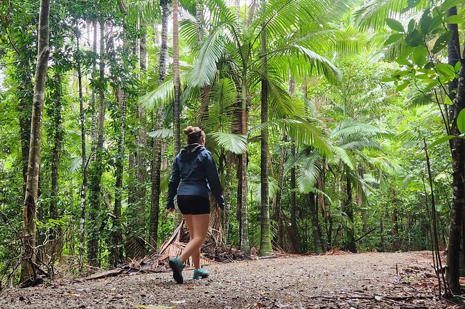 Airlie Waterfalls & Rainforest Bushwalk Eco Adventure - Who should book this outing