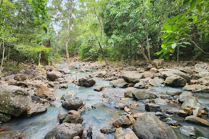 Airlie Waterfalls & Rainforest Bushwalk Eco Adventure - Practical advice before you go