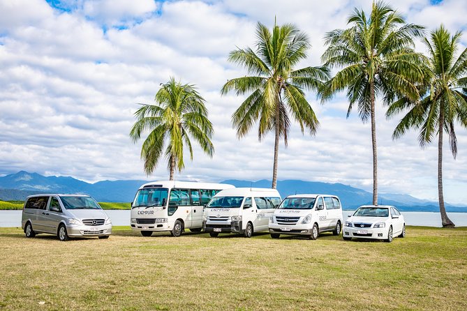 Airport Transfers between Cairns Airport and Cairns City - Key points to know before booking