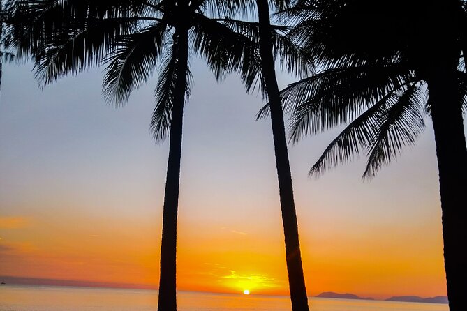 Airport Transfers between Cairns Airport and Cairns City - Accessibility, children, and luggage