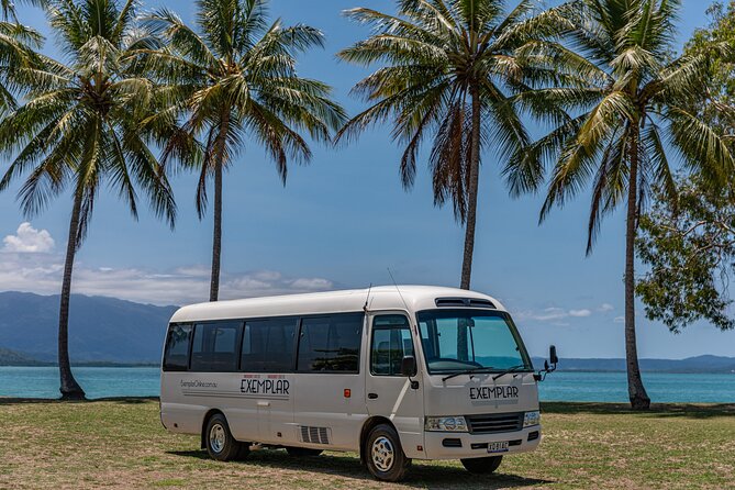 Airport Transfers between Cairns Airport and Palm Cove - Finding the Exemplar desk at the domestic terminal