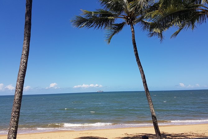 Airport Transfers between Cairns Airport and Palm Cove - Shared transfer versus paying for an upgrade