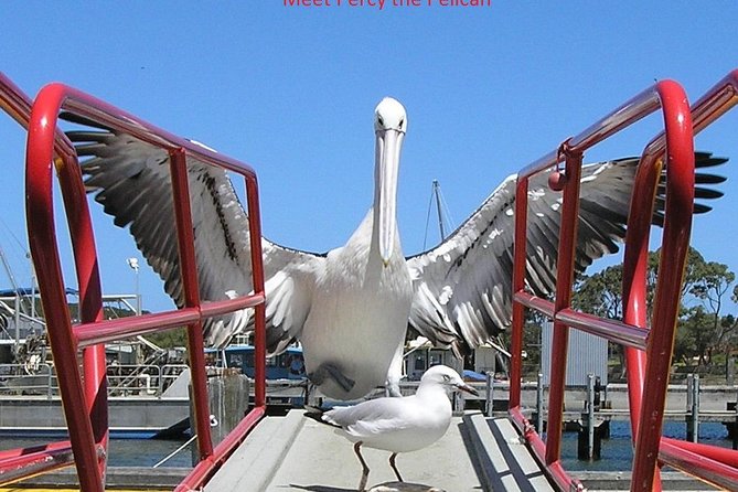 Albany Wildlife and Scenic Cruise - A river cruise with a distinctly Albany flavor
