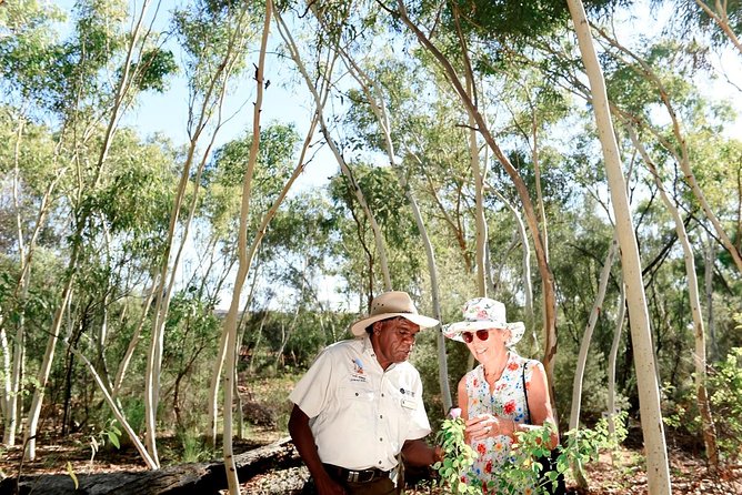 Alice Springs Desert Park General Entry Ticket - Start with the woodland, sand, and river trail