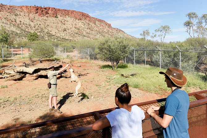 Alice Springs Desert Park General Entry Ticket - Make time for the free-flying bird show