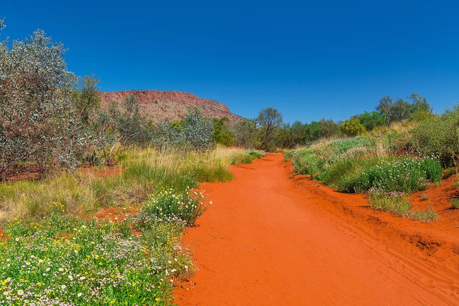 Alice Springs Desert Park General Entry Ticket - Getting there and handling the practical details