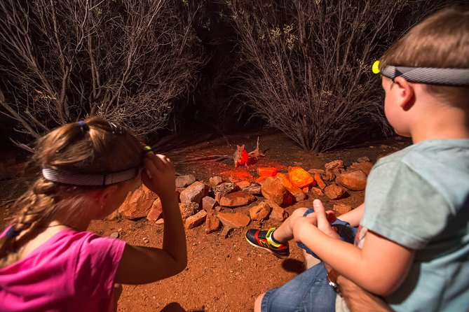 Alice Springs Desert Park Nocturnal Tour - How much value do you get for $263?