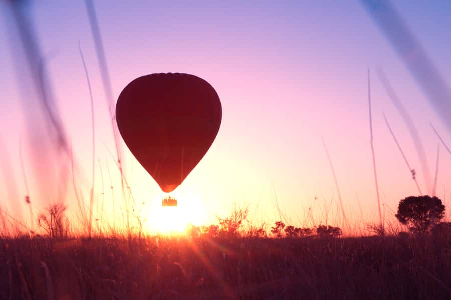 Alice Springs: Early Morning Hot Air Balloon Flight - Wildlife sightings depend on luck and height
