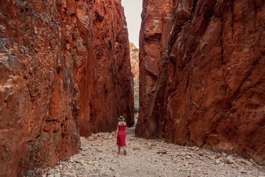 Alice Springs: West MacDonnell Ranges & Standley Chasm Tour - Standley Chasm and its 80-metre walls