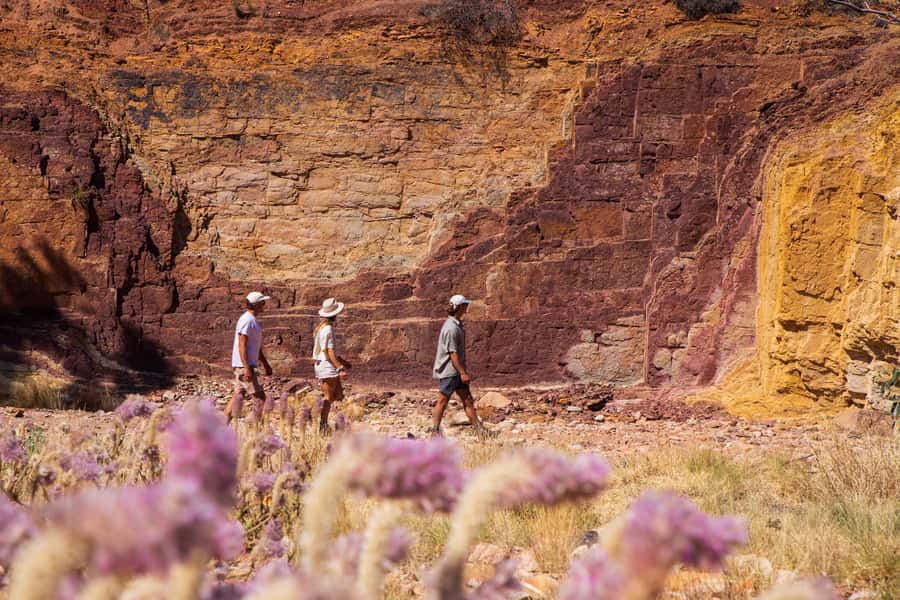 Alice Springs: West MacDonnell Ranges & Standley Chasm Tour - Ellery Creek Big Hole, the day’s best chance to swim