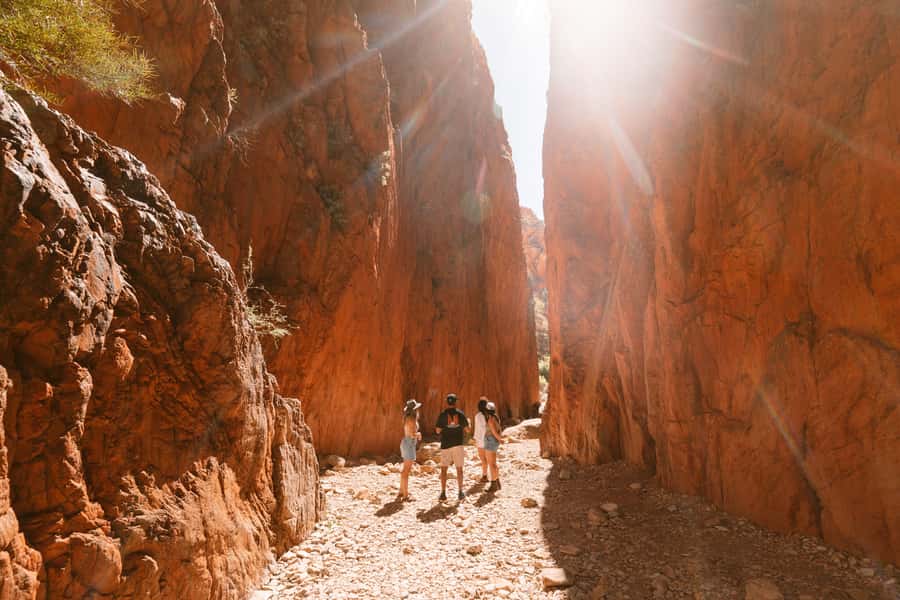 Alice Springs: West MacDonnell Ranges & Standley Chasm Tour - Mount Sonder Lookout and the scale of Tjoritja