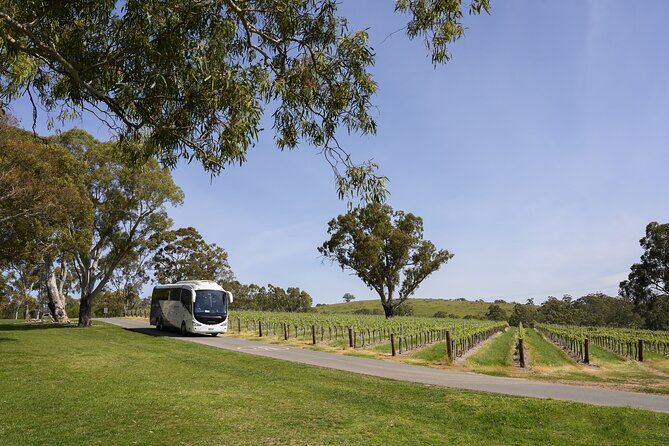 All Inclusive Barossa Valley Food and Wine Tour - Key points to know before you go