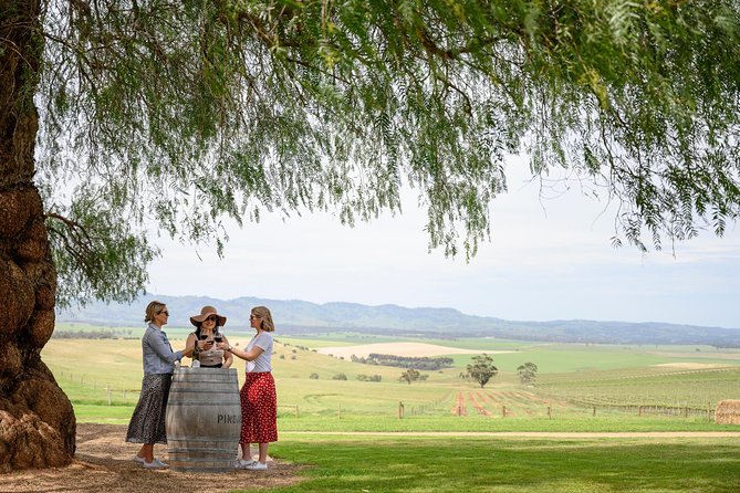 All Inclusive Barossa Valley Food and Wine Tour - What this Barossa day is really designed to do