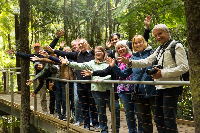 All Inclusive Blue Mountain,Scenic World,Lunch,Koalas,ferry - Why this Blue Mountains day works well