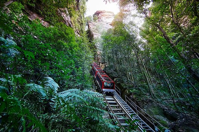 All Inclusive Blue Mountain,Scenic World,Lunch,Koalas,ferry - Scenic World: three rides in one hour