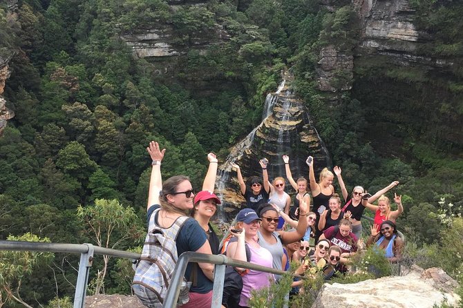 All Inclusive Blue Mountain,Scenic World,Lunch,Koalas,ferry - A 35-minute sit-down lunch
