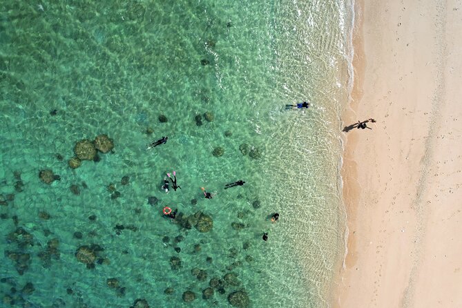 All Inclusive Day Tour to Frankland Islands Great Barrier Reef - Snorkeling with time to find your confidence