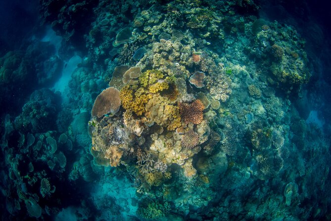 All Inclusive Great Barrier Reef Cruise w optional Scuba Diving - Seasickness and the reality of a full-day boat trip