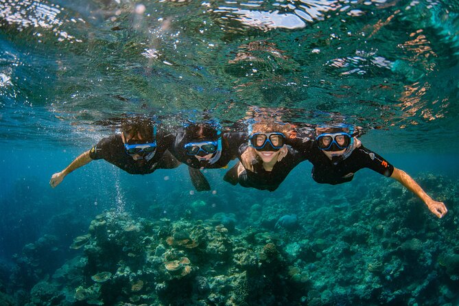 All Inclusive Great Barrier Reef Cruise w optional Scuba Diving - Transport, price, and extra charges