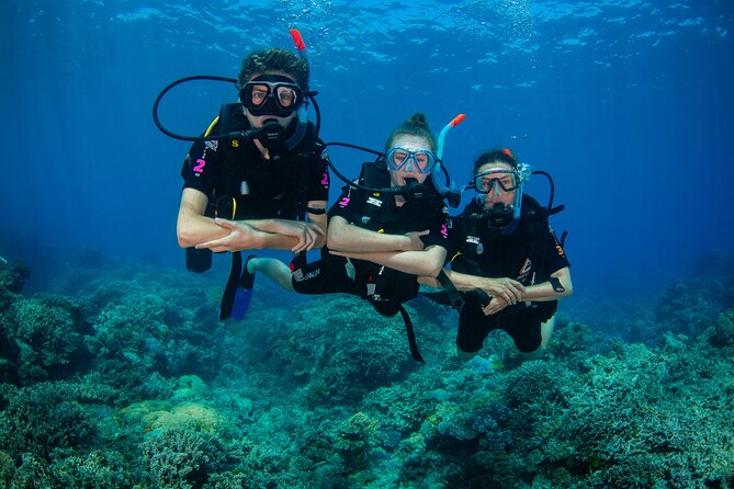 All Inclusive Great Barrier Reef Cruise w optional Scuba Diving - What to expect at the first outer reef site