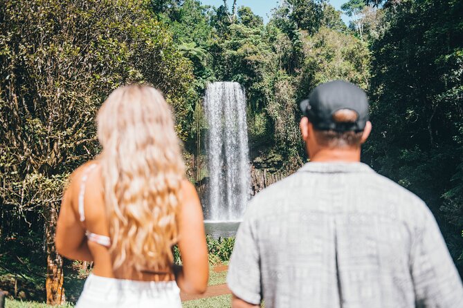 All Inclusive Waterfalls and Rainforest Tour from Cairns - Why this Cairns day trip covers so much