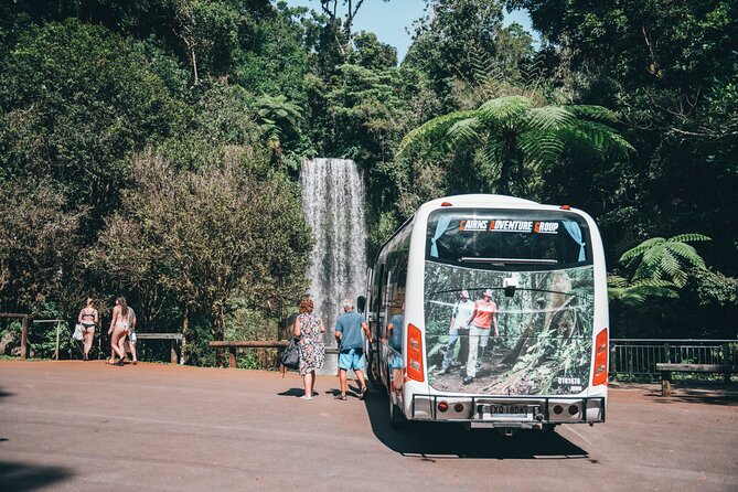 All Inclusive Waterfalls and Rainforest Tour from Cairns - Millaa Millaa Falls delivers the classic picture