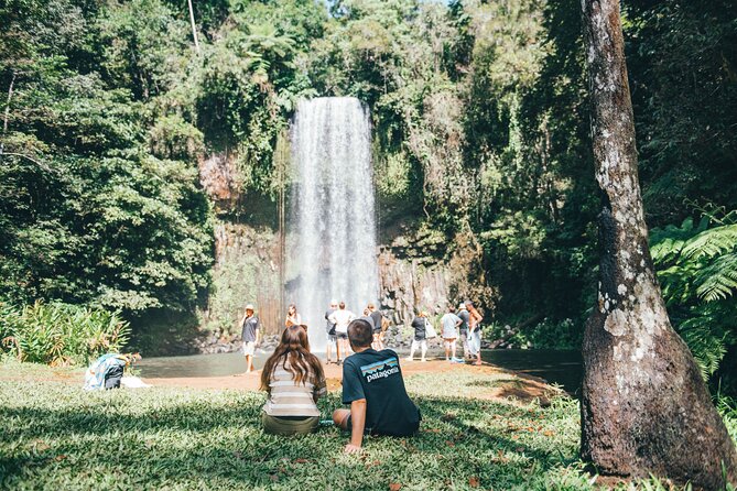 All Inclusive Waterfalls and Rainforest Tour from Cairns - Lunch at Top Rail gives the day a reset