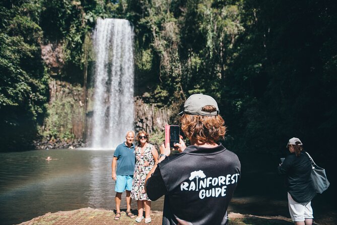 All Inclusive Waterfalls and Rainforest Tour from Cairns - Wildlife is possible, not guaranteed
