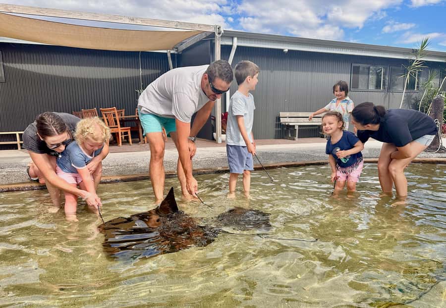 Anna Bay: Irukandji Entry Pass with Shallows Encounter - Fingill Lagoon and the friendly rays