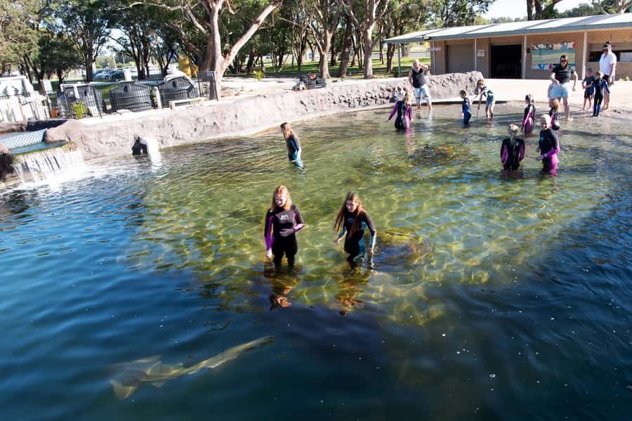 Anna Bay: Irukandji Entry Pass with Shallows Encounter - Choosing between bare feet and a wetsuit