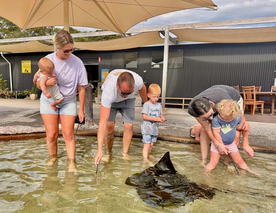Anna Bay: Irukandji Entry Pass with Shallows Encounter - Getting started at Irukandji