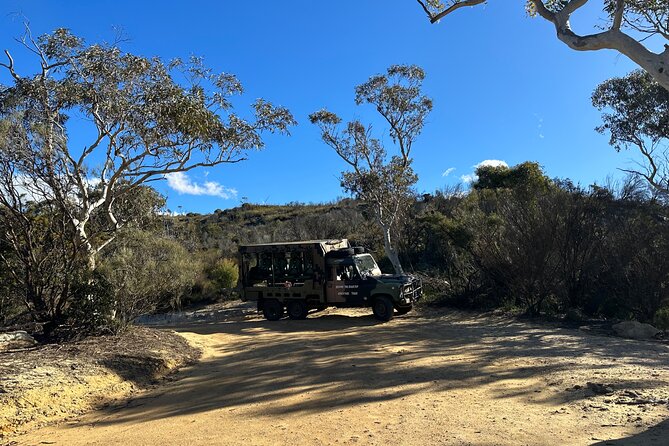 Army Truck Adventures - 3 Hour Guided Tour - How it compares with Scenic World
