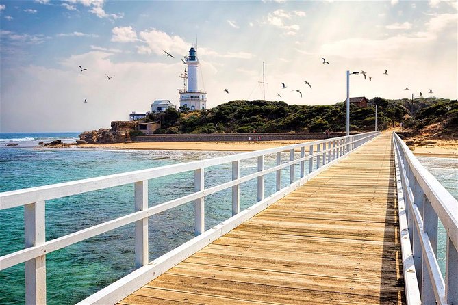 Around the Bay Sightseeing and Bay Cruise - A long coastal loop from Melbourne