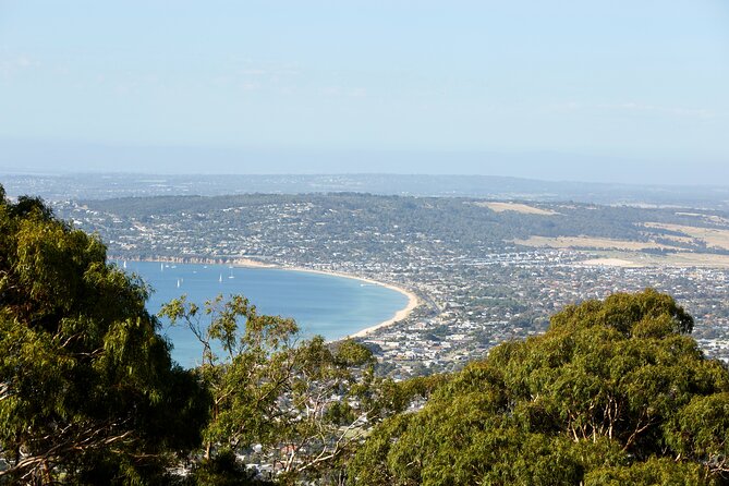 Around the Bay Sightseeing and Bay Cruise - Queenscliff to Sorrento by Searoad Ferry