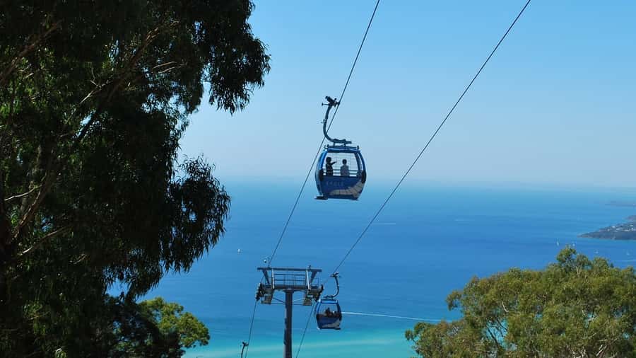 Arthurs Seat Eagle: Scenic Gondola Ride - A calm flight less than an hour from Melbourne
