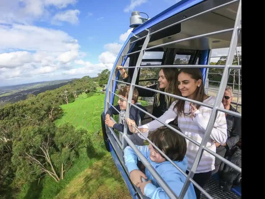 Arthurs Seat Eagle: Scenic Gondola Ride - Reaching the 314-metre summit