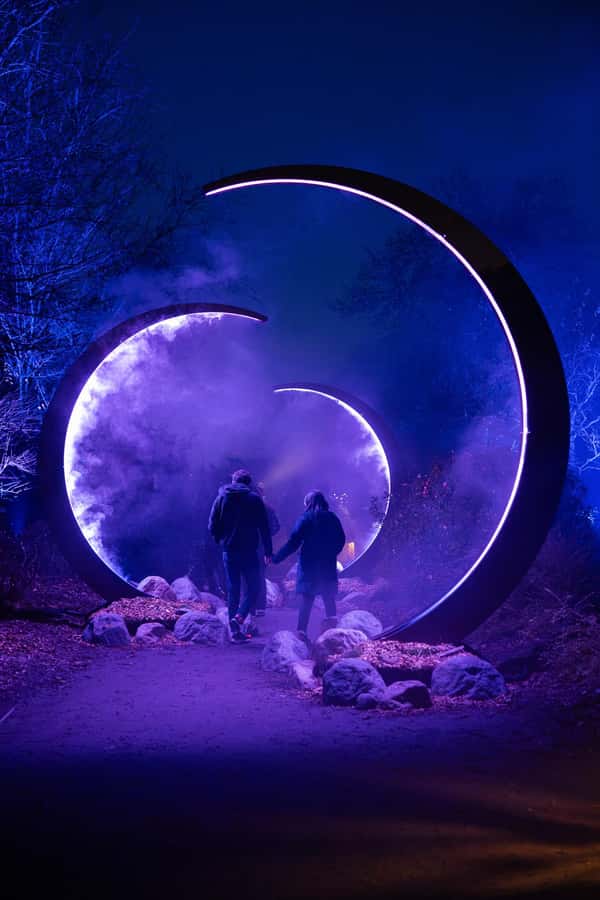Astra Lumina Entry at Currumbin Wildlife Sanctuary - Key points before you book