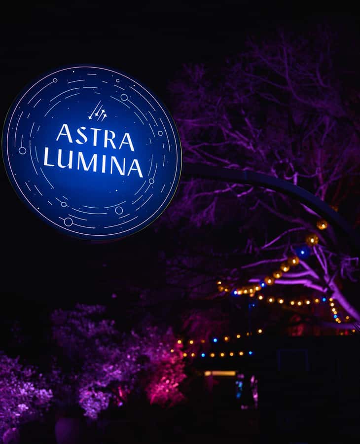Astra Lumina Entry at Currumbin Wildlife Sanctuary - Why the bushland setting changes the experience