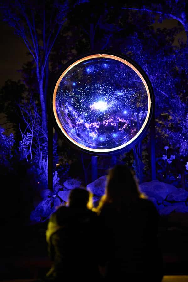 Astra Lumina Entry at Currumbin Wildlife Sanctuary - Is $35 a fair price?