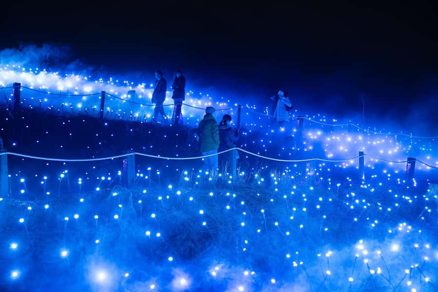 Astra Lumina Entry at Currumbin Wildlife Sanctuary - Food, drinks, and combining it with the sanctuary