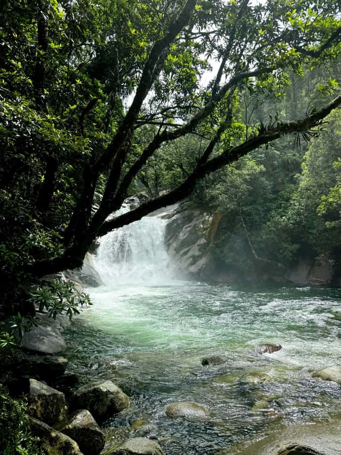 Atherton Tablelands: Lakes, Waterfalls, Rainforest Day Tour - Lake Eacham adds a quiet volcanic setting