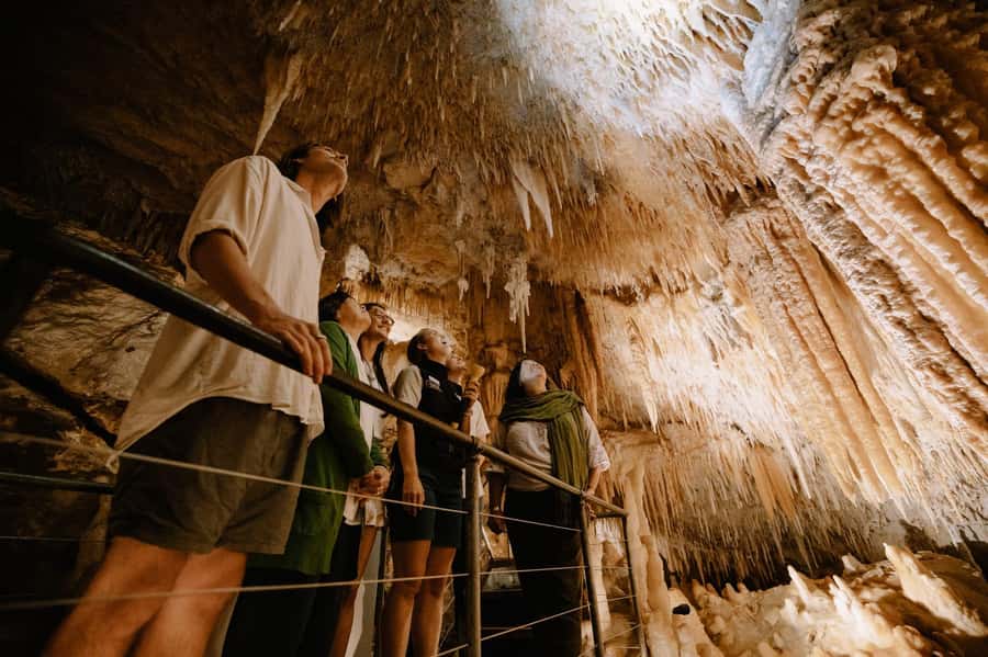 Augusta: Jewel Cave Fully-Guided Tour - Fossils, darkness, and the Tasmanian tiger story